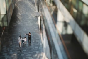 Obiektyw Laowa 55 mm f/2,8 Tilt-Shift 1x Macro do Nikon Z 20