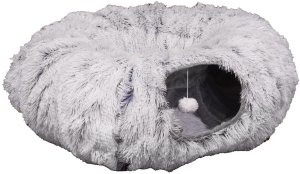 Fur Grey Cat Tunnel 1
