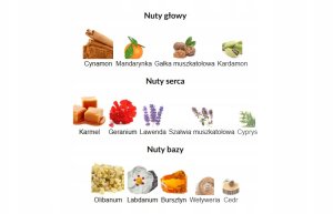 Lattafa Qaed Al Fursan Untamed EDP U 90 ml 3