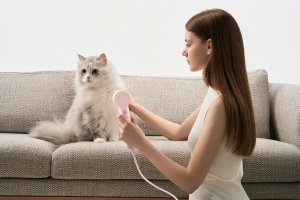 Suszarka Laifen Mini zielona 8