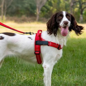 Szelki dla psa REFLECTIVE SILK rozmiar L czerwone 2