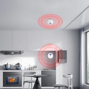 INTELIGENTNY CZUJNIK DETEKTOR CZADU GAZU TLENKU WĘGLA CO TUYA WIFI SMARTLIFE CZUJKA TEST [EUROLOOK TU-014-CM] 7