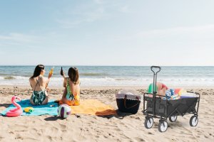 Składany duży wózek ogrodowy plażowy turystyczny transportowy czarny 11