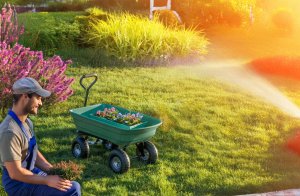 Wózek transportowy ogrodowy taczka wywrotka przyczepka rączka skrętne koła 13