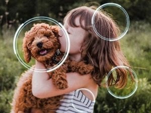 Telewizor Samsung QE75QN80F QLED 75'' 4K Ultra HD Tizen 7