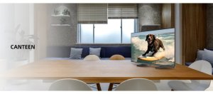 Telewizor CHiQ L32M9PD LED 32'' HD Ready Google TV 5