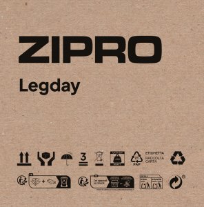 Stepper Zipro ZIPRO Schody treningowe Legday 10
