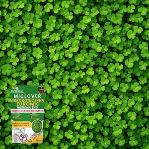 Mikrokoniczyna drobnolistna koniczyna wzbogaca trawnik nasiona 400m2 0,5kg 3
