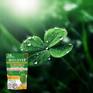 Mikrokoniczyna drobnolistna koniczyna wzbogaca trawnik nasiona 400m2 0,5kg 4