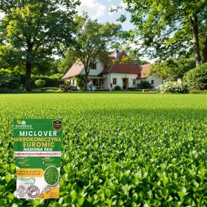 Mikrokoniczyna drobnolistna koniczyna wzbogaca trawnik nasiona 400m2 0,5kg 5