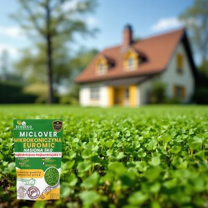 Mikrokoniczyna drobnolistna koniczyna wzbogaca trawnik nasiona 400m2 0,5kg 9