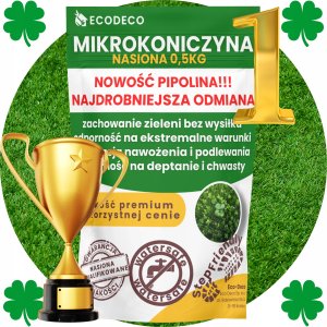 MIKROKONICZYNA do 10 cm KONICZYNA DROBNOLISTNA NASIONA 1KG - 800m2 Trawnik 3