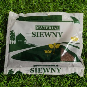 MIKROKONICZYNA KONICZYNA DROBNOLISTNA NASIONA 500G 8