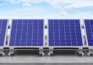 Kolce na Ptaki Gołębie Kuny na Panele Solarne Fotowoltaiczne 50cm ze Stali Nierdzewnej 304 w Kolorze Czarnym 14