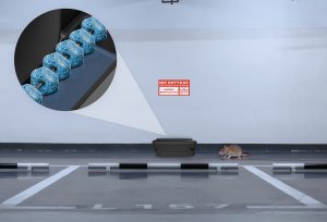Stacja Deratyzacyjna Karmnik DDD na Trutkę na Myszy Szczury z Kluczykiem Zabezpieczającym 11