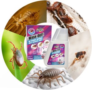 Środek Płyn Preparat do Prania na Pluskwy Roztocza Wszy Kleszcze Pchły i Ich Jaja oraz Larwy 240 ml "Wash Out!" do Pralki 9