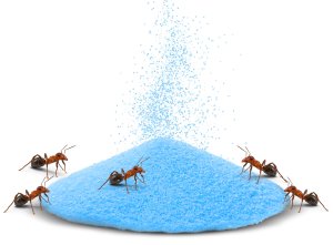 Proszek Środek Preparat Trutka na Mrówki Mrowiska Gniazda Mrówek i Całe Kolonie 2kg "Ant Done" 4