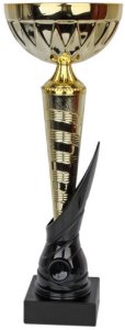Puchar Tryumf W2047 1