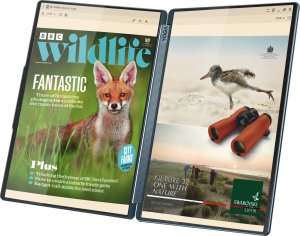 Laptop Lenovo Yoga Book 9 14IAH10 Ultra 7 255H / 32 GB / 1 TB / W11 Pro / 120 Hz (83KJ000BMX) 5