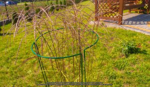 Podpora Kwiatowa S 45x15 ELGarden komplet 3 sztuk 2