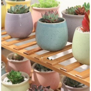 Kwietnik drabinka regał bambusowy na kwiaty 4 półki lakier POL04 7