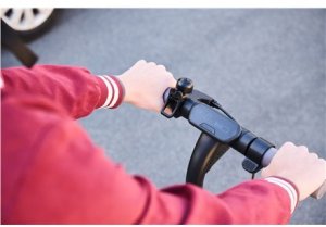 Ninebot by Segway Kickscooter E2 PRO E, Juodas | Segway 14