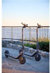 Ninebot by Segway Kickscooter E2 PRO E, Juodas | Segway 6