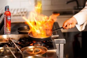 Spray gaśniczy Reinoldmax 750ml 7