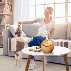 DYFUZOR ZAPACHÓW NAWILŻACZ KULA WF-ADH-01 6