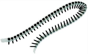 Makita Szybkozłączka Drobny 3,9x30mm 4