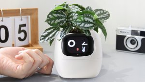 PlantsIO IVY Biała 2