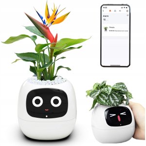 PlantsIO IVY Biała 4