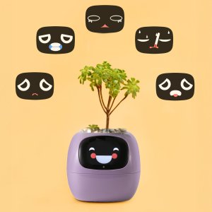 PlantsIO IVY Fioletowa 3