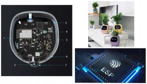 PlantsIO IVY Fioletowa 5