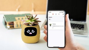 PlantsIO IVY Żółta 8