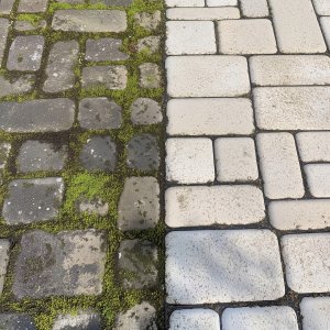 Płyn do usuwania mchu, glonów o zielonych nalotów Frischer 5l 5