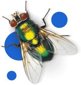 BROS - Spray Do Śmietników 400ml - ZAPAS 4