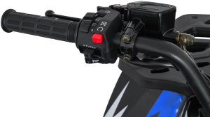 1DEA.me Pojazd Quad Spalinowy 200CC MONSTER Niebieski 20