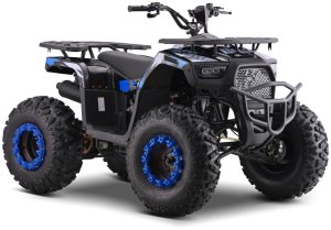 1DEA.me Pojazd Quad Spalinowy 200CC MONSTER Niebieski 3