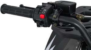 1DEA.me Pojazd Quad Spalinowy 200CC MONSTER Czarny 20