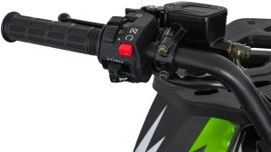 1DEA.me Pojazd Quad Spalinowy 200CC MONSTER Zielony 20