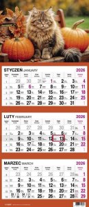 Kalendarz 2026 Trójdzielny Kot 1