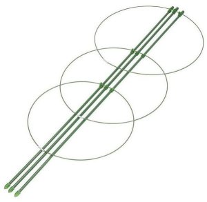 Podpora pierścieniowa do roślin, kwiatów, warzyw 30 x 90 cm XL ROS23 5