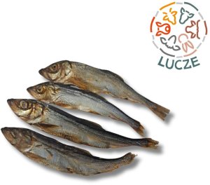 Lucze śledź bałtycki suszony przysmak 100% naturalny 100g 1