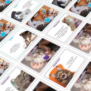 Gra Monopoly Koty 2025 Winning Moves 5