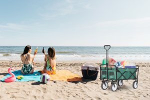 Składany duży wózek ogrodowy plażowy turystyczny transportowy zielony 12