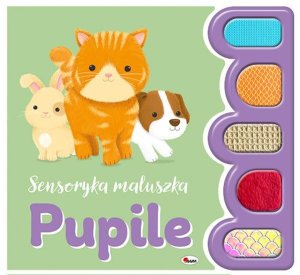 Morex Książeczka Sensoryka maluszka. Pupile 4