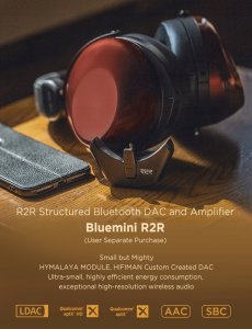 HIFIMAN HE-R9 WIRED 6