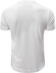 Męska Koszulka z krótkim rękawem DILLION 3