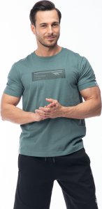 Męska Koszulka z krótkim rękawem HAMILONI 4